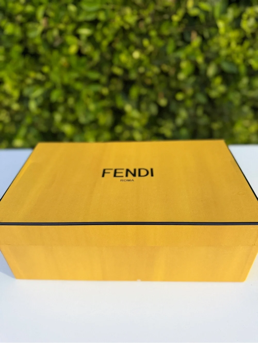 Fendi Luxury Gift Box Storage Box